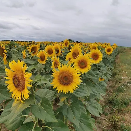Dom wakacyjny Maison De Charme Saint-Georges-des-Agoûts