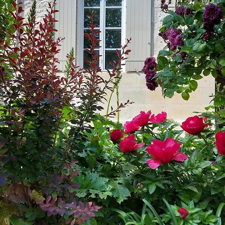 Maison De Charme Holiday home
