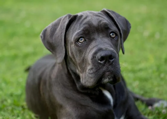 Сasa de vacaciones Maison De Charme *