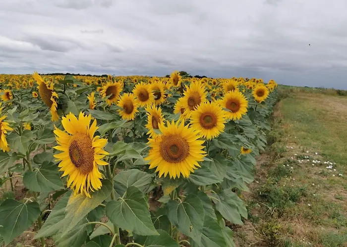 Сasa de vacaciones Maison De Charme Saint-Georges-des-Agoûts