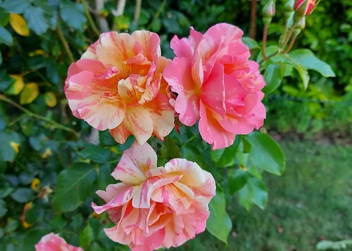 Maison De Charme Saint-Georges-des-Agoûts